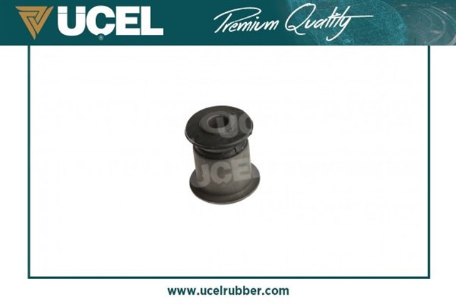 SALINCAK BURCU ON T4 - T5 - T6 91 - 03