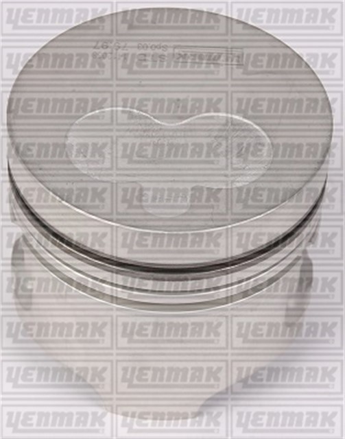 MOTOR PISTON SEGMAN R19 - CLIO 1.9 DZL F8Q 80.00 CAP STD