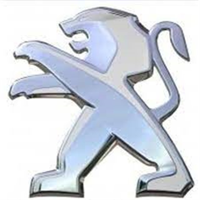 MOTOR KAPUT ARMASI 301 B.M 2013 - 