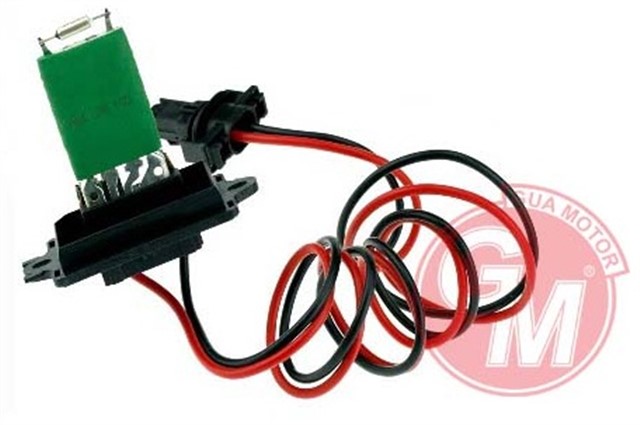 X KOLORIFER REZISTANSI RENAULT SCENIC II 03