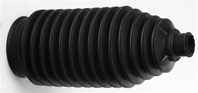 DIREKSIYON KORUGU R - L MASTER III 2011 - 2012