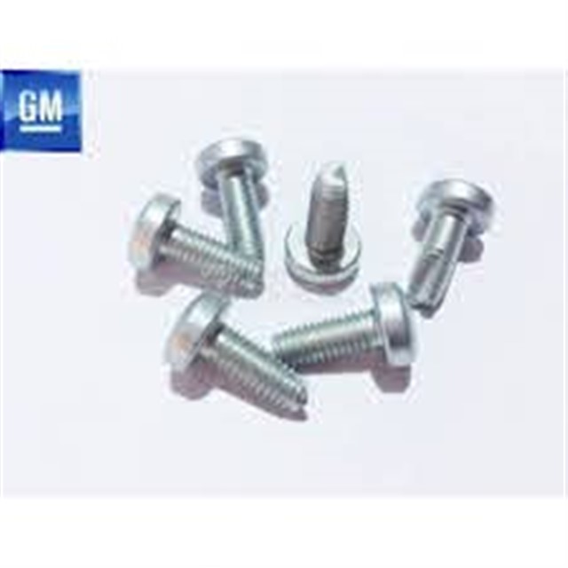 CIVATA OVAL BASLI M6X15