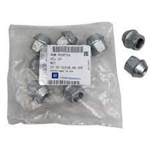 BIJON SOMUNU AST - J