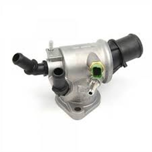 TERMOSTAT KOMPLE Z19DTH VEC - C