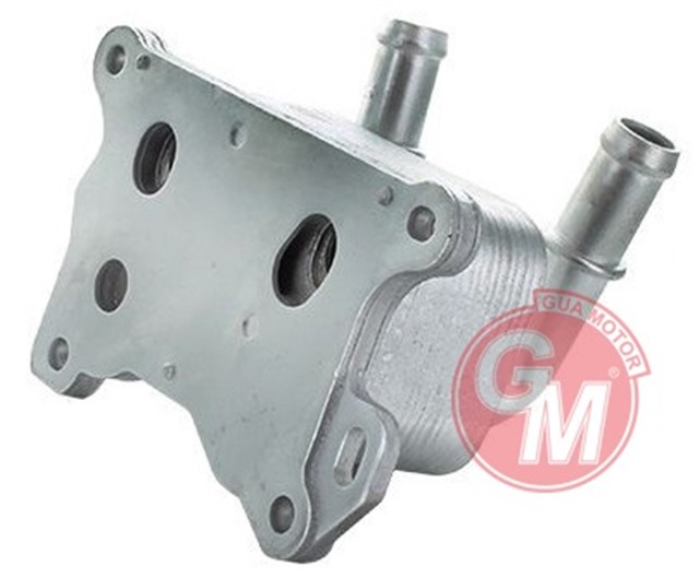 YAG SOGUTUCUSU CLIO IV - CAPTUR - MEGANE III - DOKKER - DUSTER - LOGAN II - KADJAR 1.2TCE