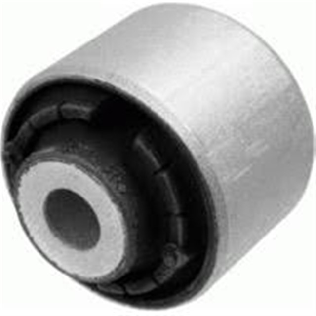 SALINCAK BURCU ALT DUZ KOL ARKA A4 - A5 - Q5 08 - 