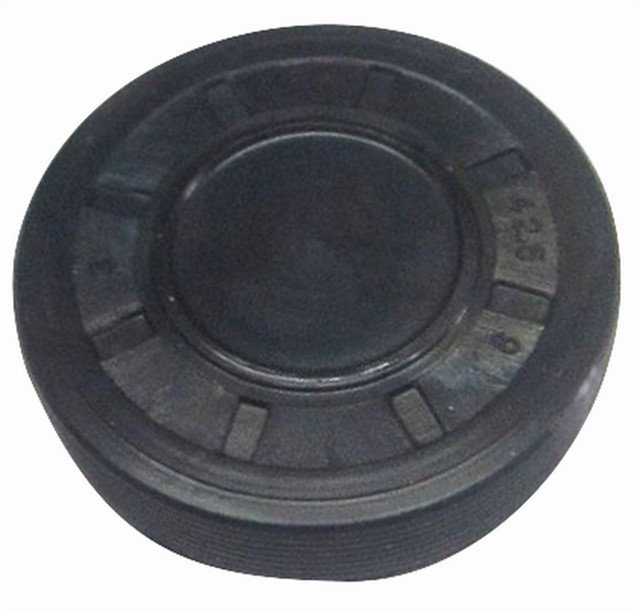 EKZANTRIK TAPASI KUCUK MEGANE - CLIO