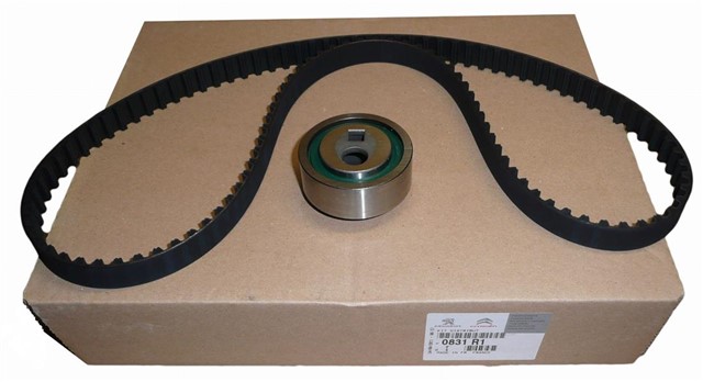 EKSANTRIK GERGI KITI 114X170 P205 - P306 - P405 - P406 - P605 - XANTIA - BX