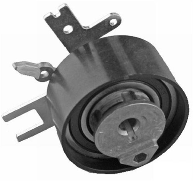 EKSANTRIK GERGI RULMANI P307 - 308 - 407 - 607 - C4 - C5 - C8 - JUMPY - SCUDO - FOCUS II - C - MAX - MONDEO IV 2.0HDI - 2.0TDC