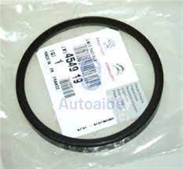 ARKA PORYA ABS SENSOR OKUYUCU HALKASI PARTNER - BERLINGO - 207 - 208 - 301 - 308 - 2008 - 3008 - 5008 - C - ELYSE - C3 - C4