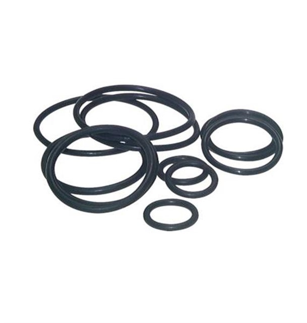 ORING LASTIK
