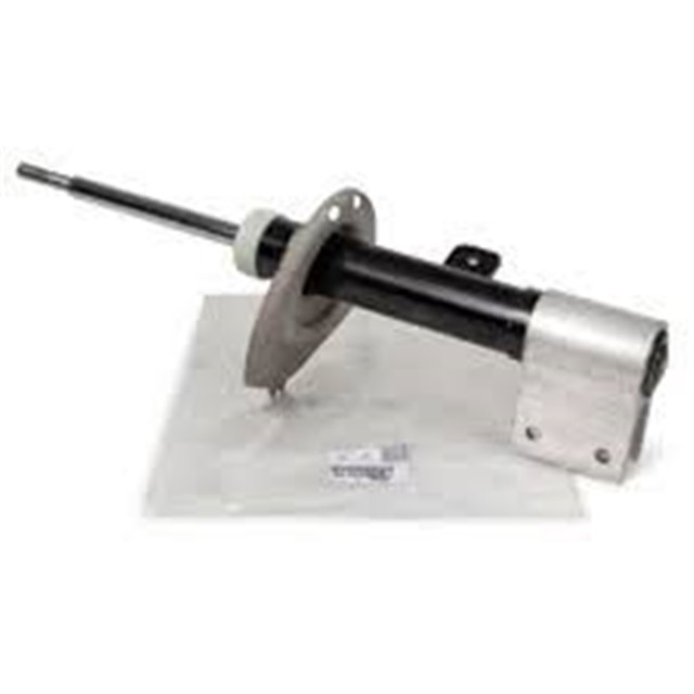 ON AMORTISOR SAG C4 II DS4 10 P5008 09