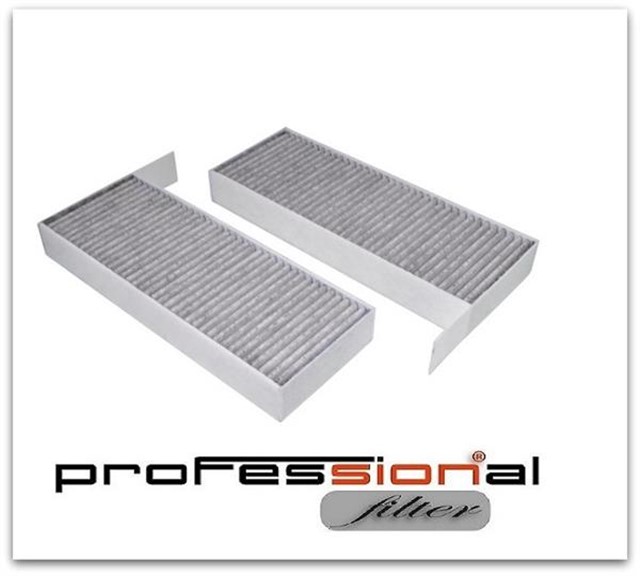 POLEN FILTRESI ASTRA L 21 P308 II - III 13 P508 18 KARBONLU