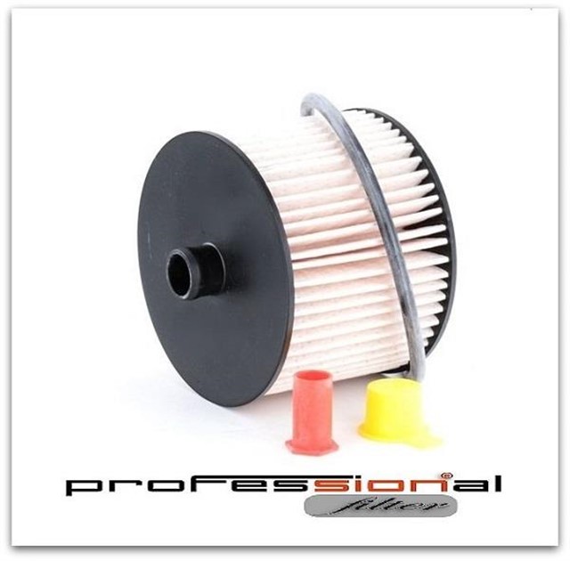 SF179F YAKIT FILTRESI P307 - P308 - P407 - EXPERT - C4 - C5 - JUMPY - SCUDO - CMAX - FOCUS II - SMAX 2.0HDI DW10