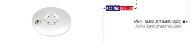 JANT GOBEK KAPAGI MGN II SCENIC