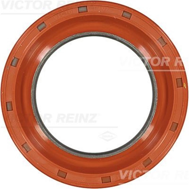 KRANK MIL KECESI DUCATO - DAILY 2.3D