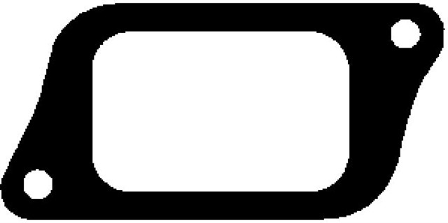 EGZOZ MANIFOLD CONTASI