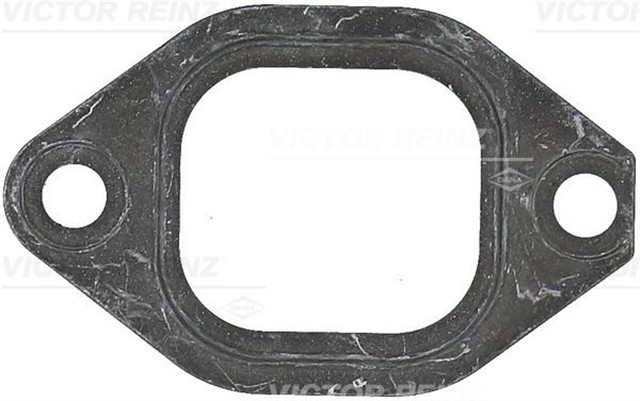 EGZOZ MANIFOLD CONTASI