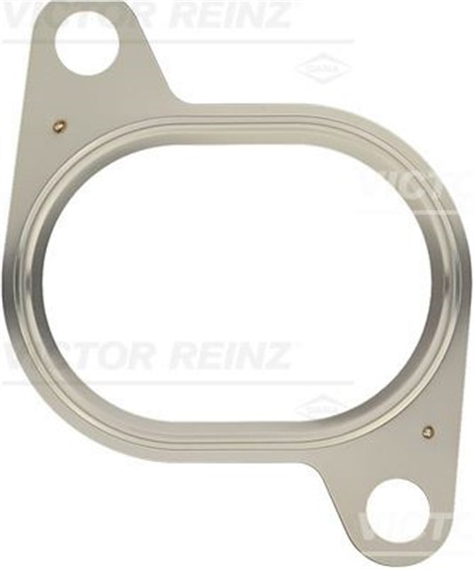 EGZOZ MANIFOLD CONTASI