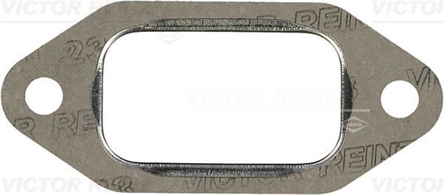 EGZOZ MANIFOLD CONTASI