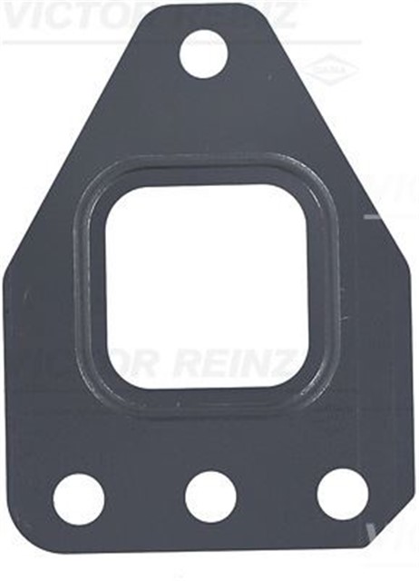 EGZOZ MANIFOLD CONTASI