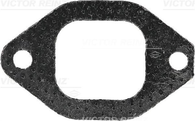 EGZOZ MANIFOLD CONTASI