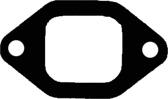 EGZOZ MANIFOLD CONTASI