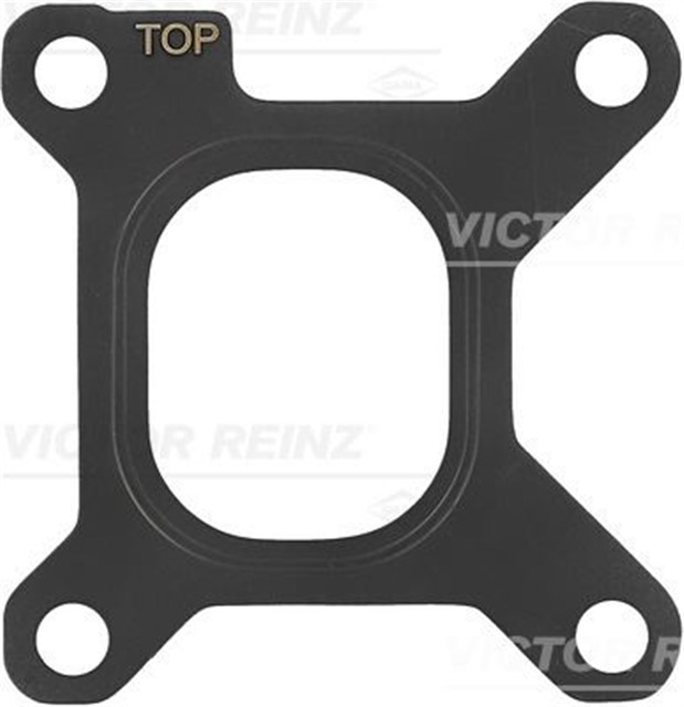 EGZOZ MANIFOLD CONTASI