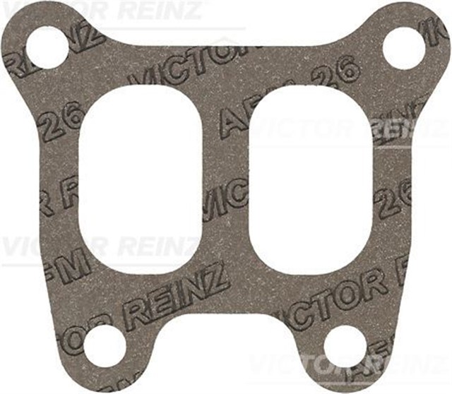 EGZOZ MANIFOLD CONTASI