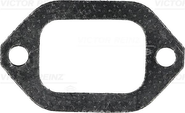 EGZOZ MANIFOLD CONTASI