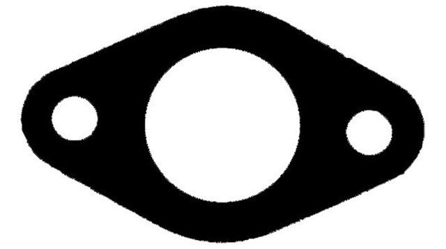 EGZOZ MANIFOLD CONTASI