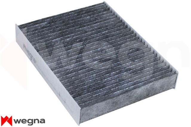 POLEN FILTRESI BMW F20 F30 F22 F32 F33 F34 F36 KARBONLU CUK 25001