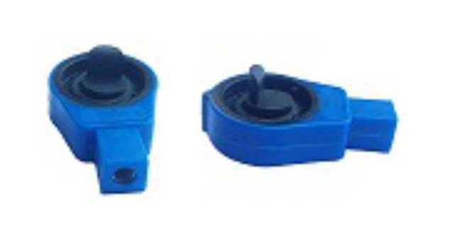 VITES TEL YUVASI KUCUK PALIO - ALBEA - SIENA