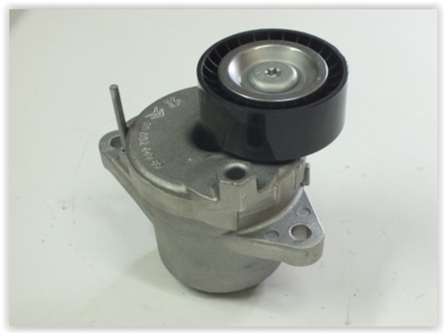 ALTERNATOR GERGI RULMANI C4