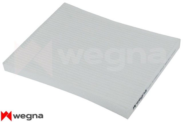 POLEN FILTRESI CORSA D - PUNTO III - FIORINO - NEMO - MITO 1.3CDTI - 1.4 - 1.6JTD - 1.7CDTI CU 2243