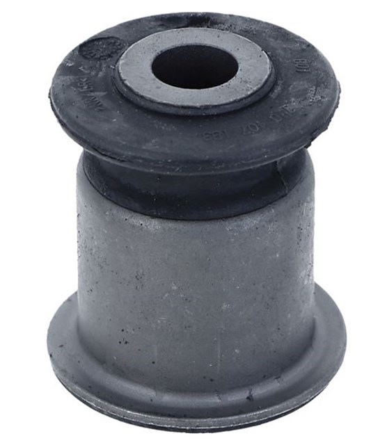 SALINCAK BURCU ON T4 - T5 - T6 91 - 03