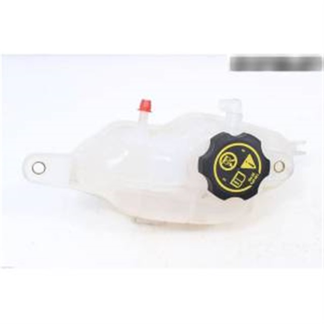 RADYATOR GENLESME SU DEPOSU CORSA E