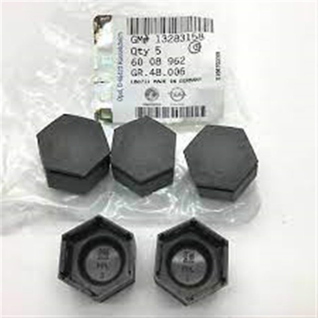 BIJON KAPAGI INS - A