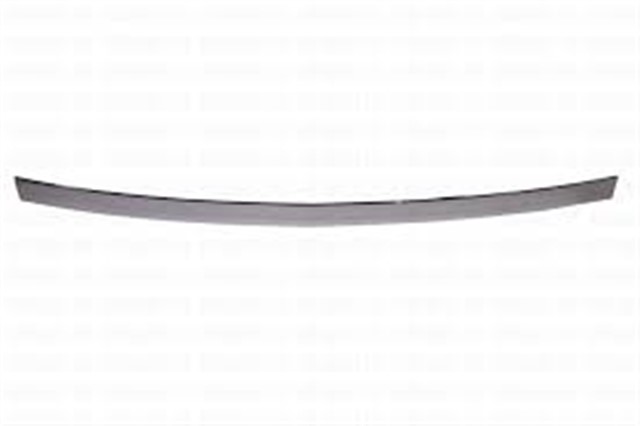 BAGAJ KAPAK NIKELAJI L35 AST - H