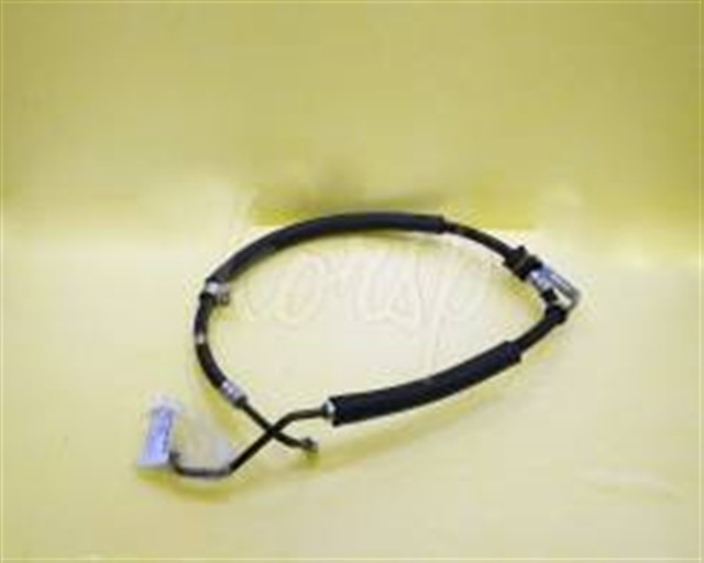 XX DIREKSIYON HORTUMU CAPTIVA