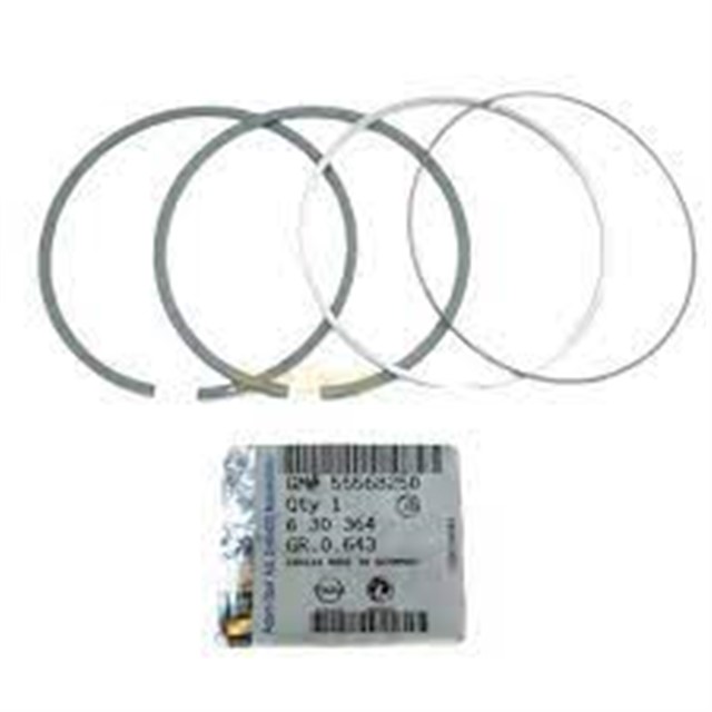 PISTON SEKMANI STD INSNGNIA