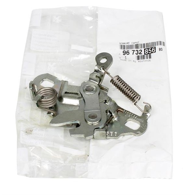 MOTOR KAPUT KILIDI P308