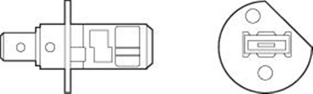AMPUL 12V H1 55W KARTON KUTU - DORT MEVSIM