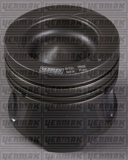 PISTON SEGMAN STD QASHQAI 1.5 DCI EURO4 K9K 106 HP 76.00 MM