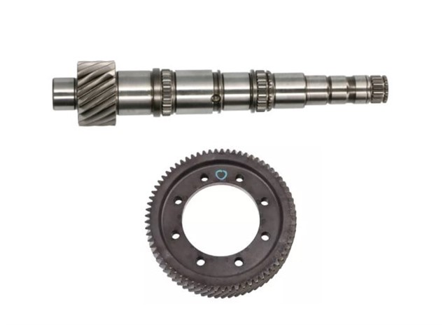 AYNA MAHRUTI DISLISI F17 SANZIMAN DIS SAYISI 18X71