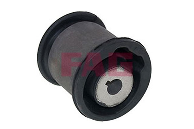 DINGIL BURCU ARKA SAG T5 - T6 04 - 