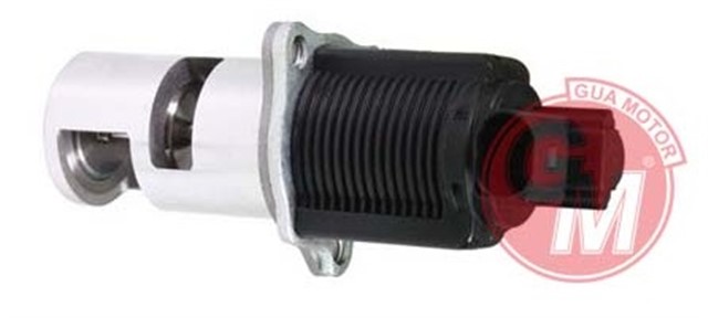 EGR VALFI RENAULT CLIO 2 - KANGOO - MEGAN 2 1.5DCI MASTER 2 - LAGUNA 2.2 00 K9K