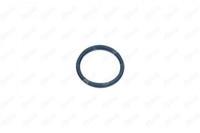 EMME MANIFOLD CONTASI CITROEN JUMPER PLATFORM SASI RELAY 2.2 HDI 120