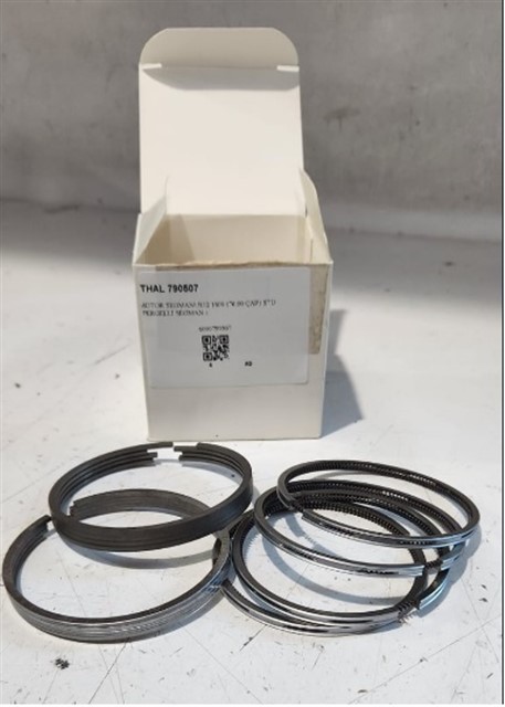 MOTOR SEGMANI R12 1400 76.00 CAP STD