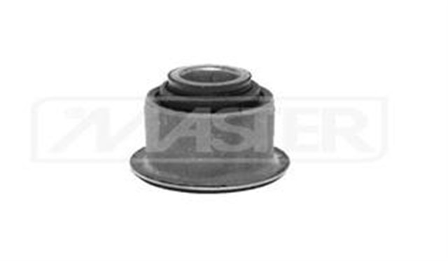 SALINCAK BURCU IC MGN II